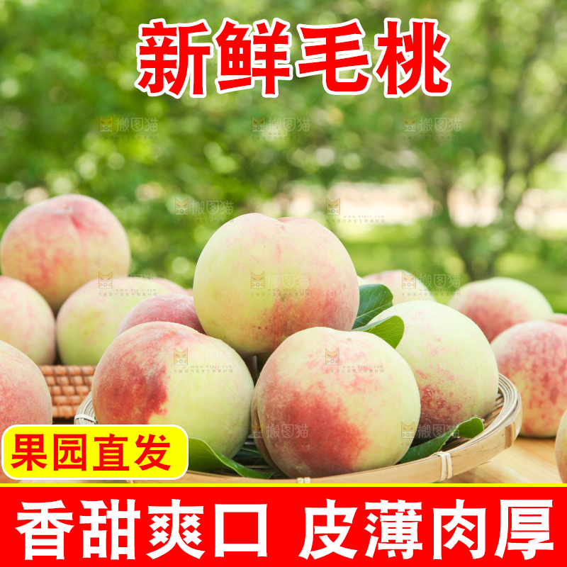 篮子里装着毛桃