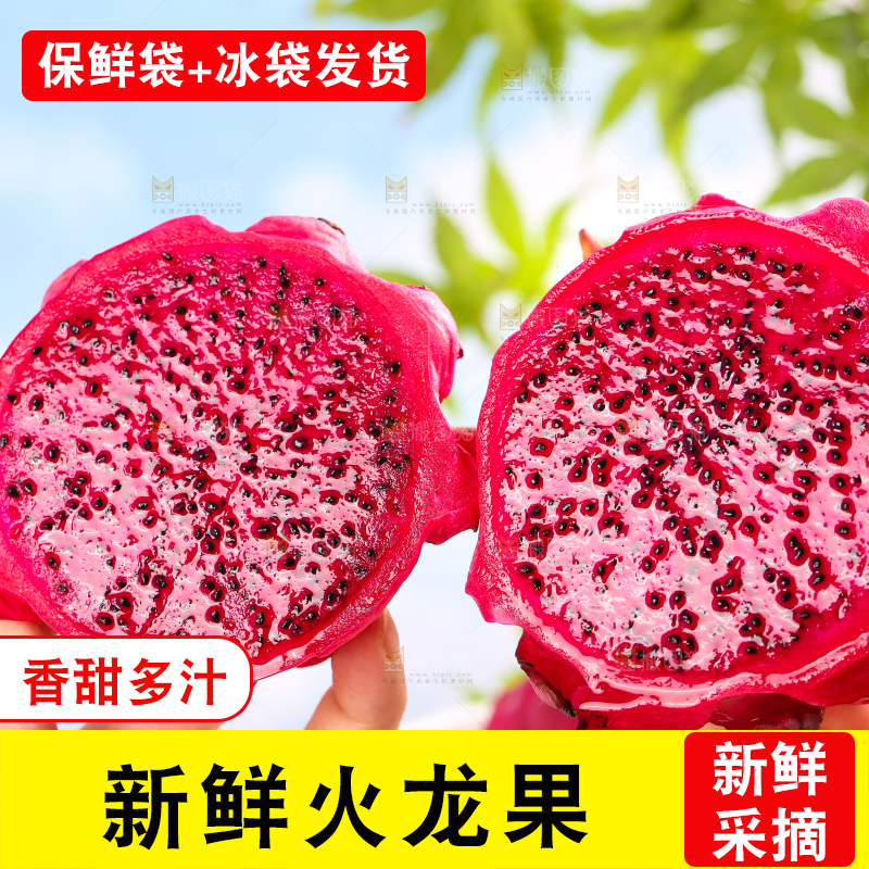 手里拿着红心火龙果