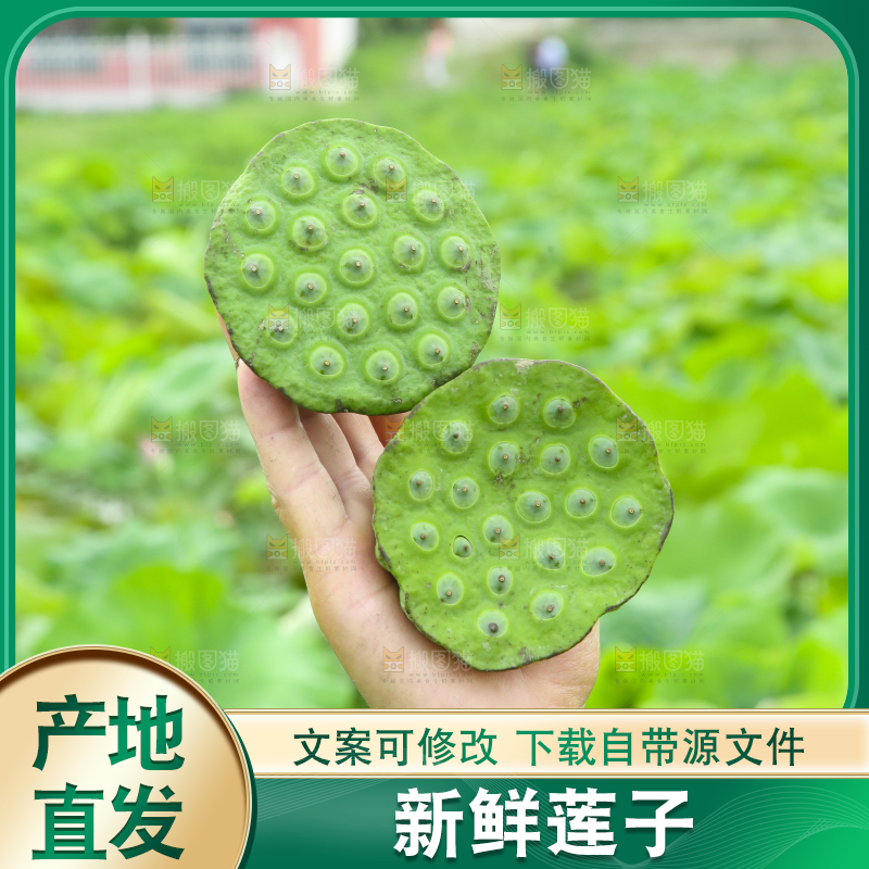 手里拿着莲蓬