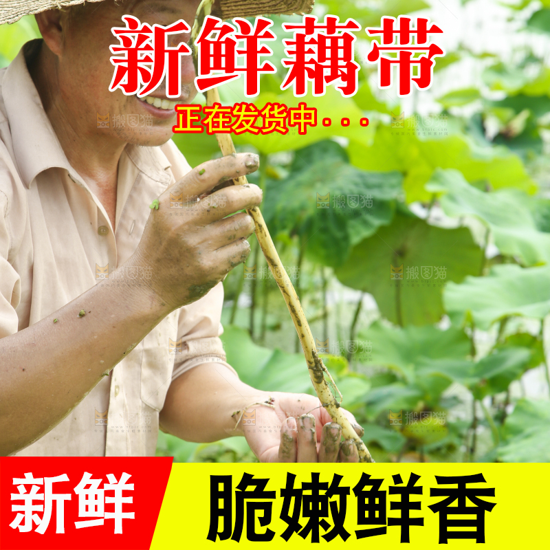 手里拿着藕带