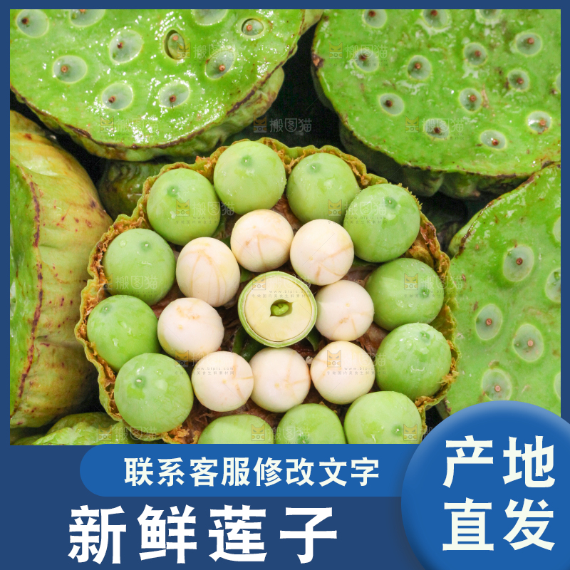 摆放着一堆的莲蓬子