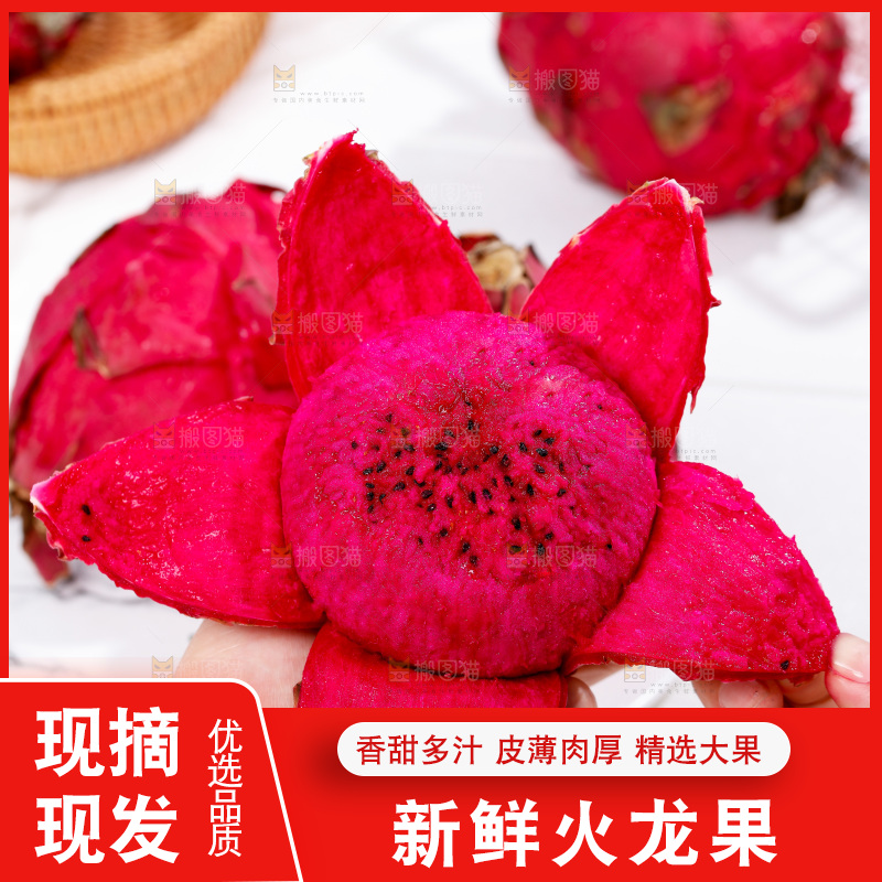 手里拿着红心火龙果