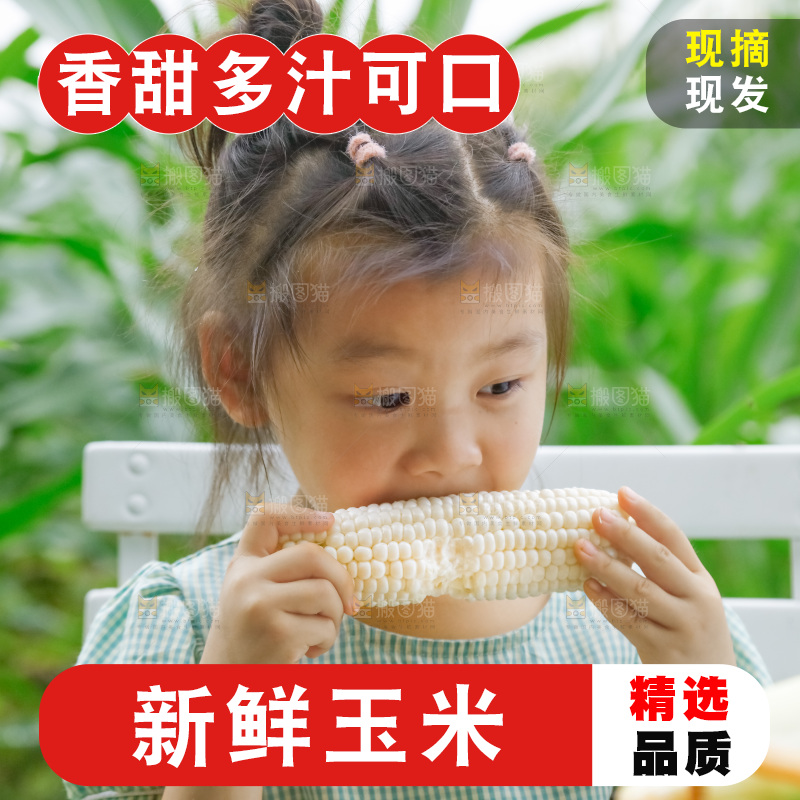 小女孩正在吃牛奶水果玉米