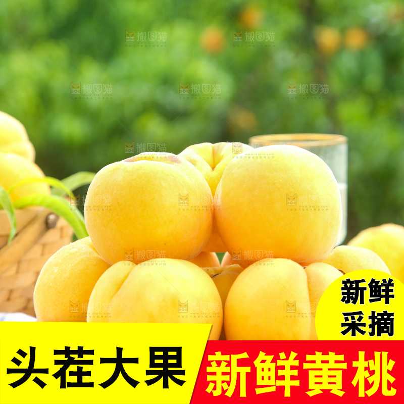 篮子里装着新鲜黄桃