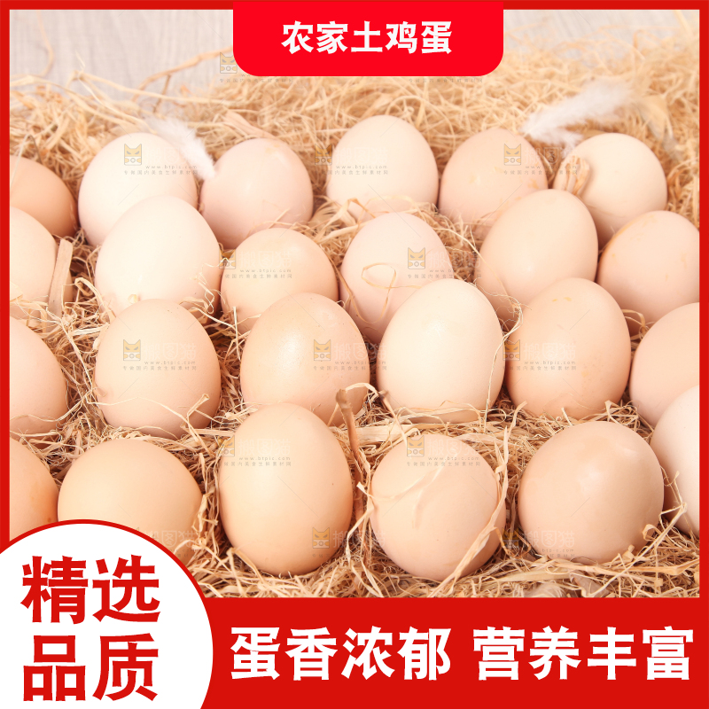 草堆上摆放着散养土鸡蛋