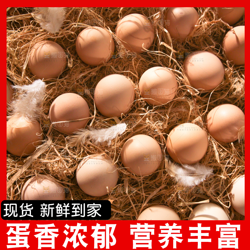 草堆里摆放着生鸡蛋
