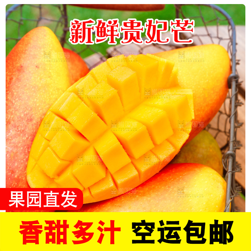 篮子里装着彩芒