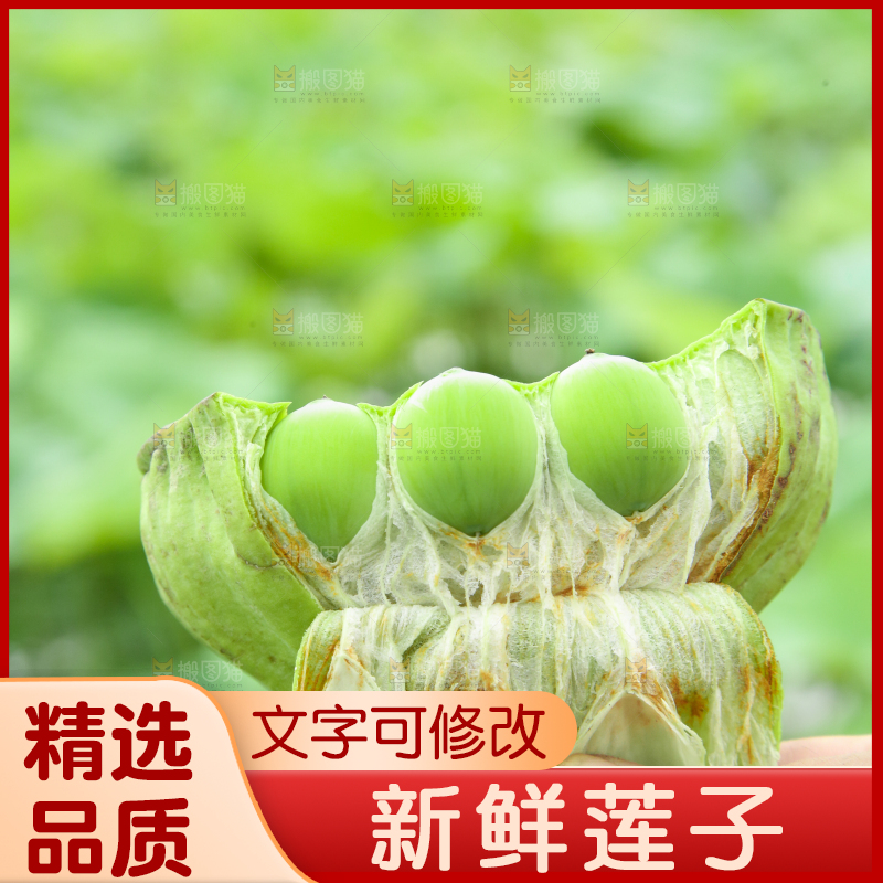 手里拿着莲子