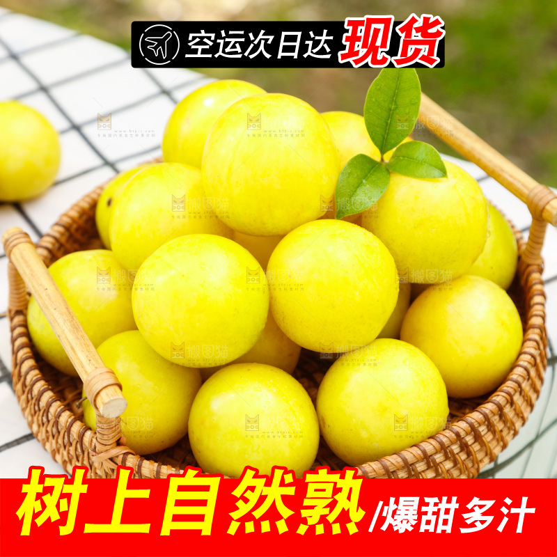 篮子里装着黄金奈李