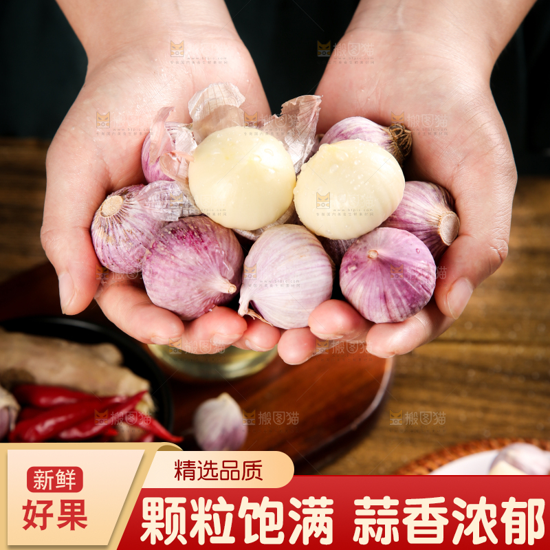 手里捧着紫皮独头蒜