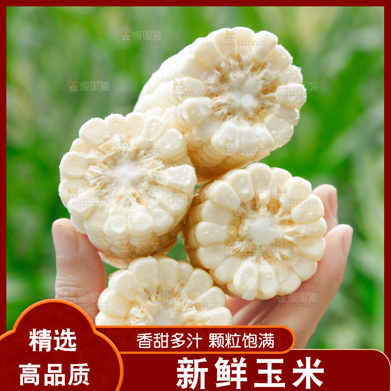 手里拿着甜玉米