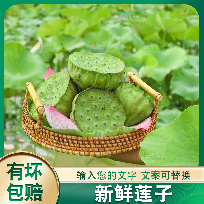 篮子里装着莲蓬子