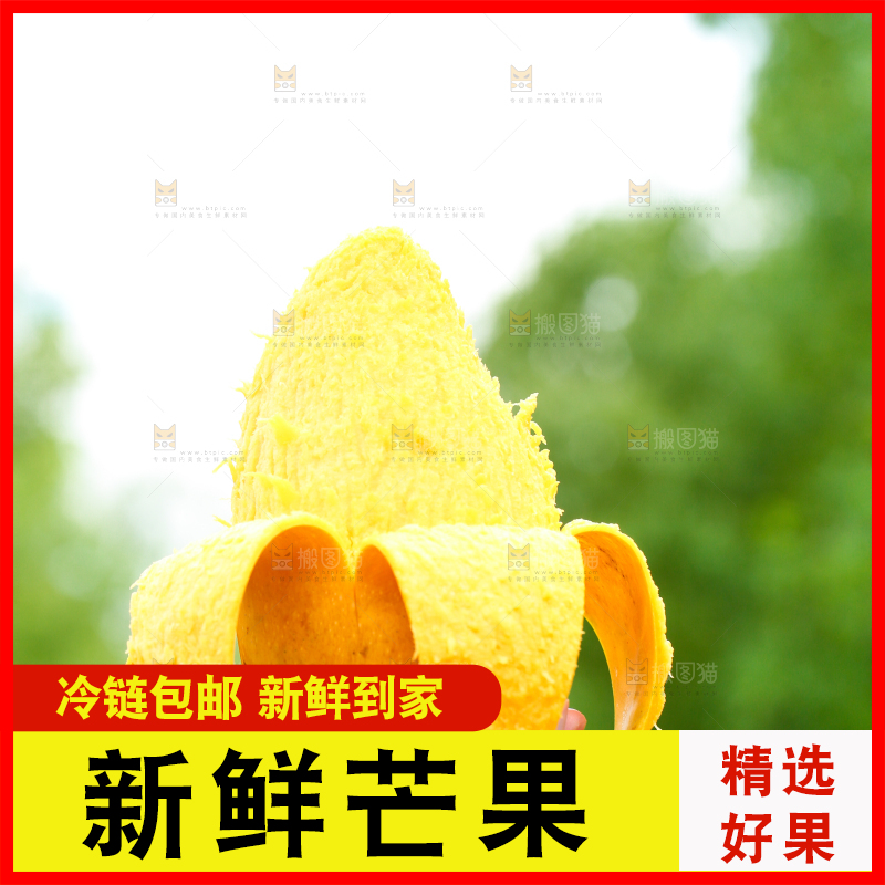 手里拿着水芒果