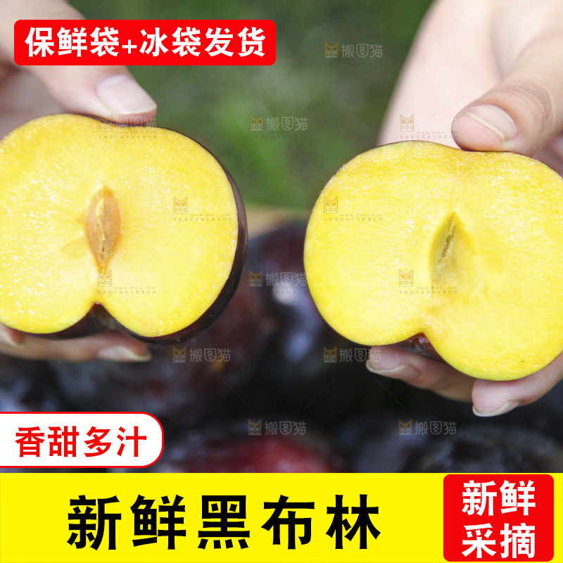 手里拿着黄肉黑布李