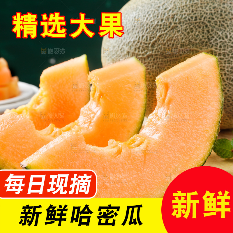 哈密瓜主图