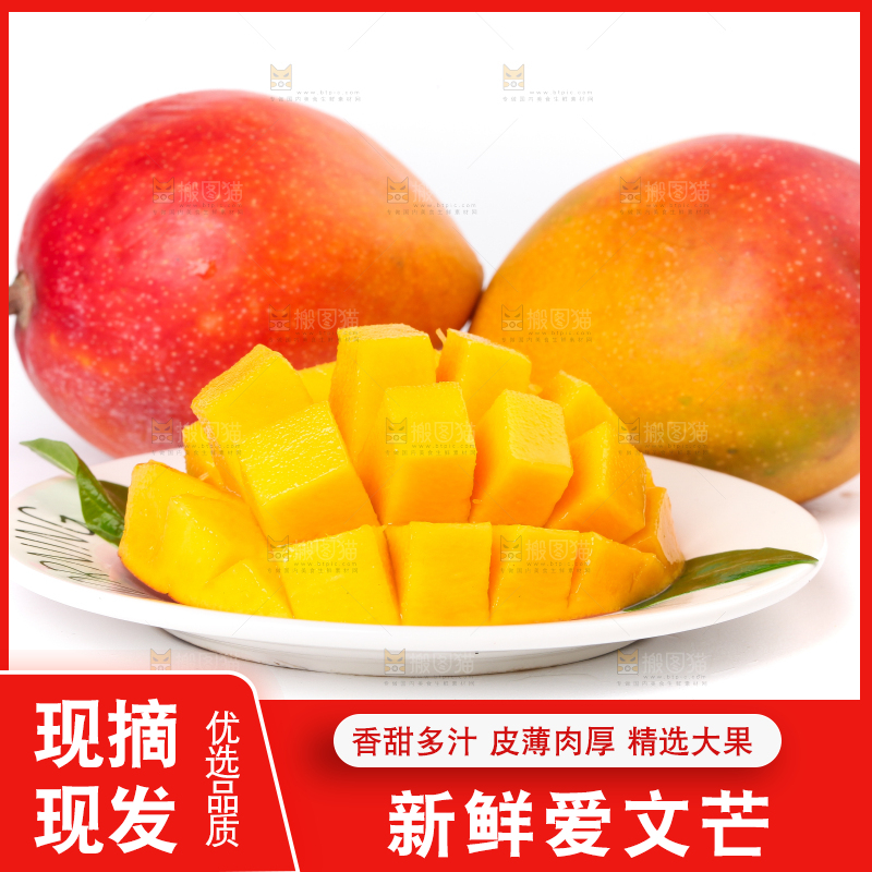 盘子里装着爱文芒