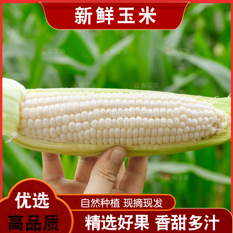 手里拿着牛奶水果玉米