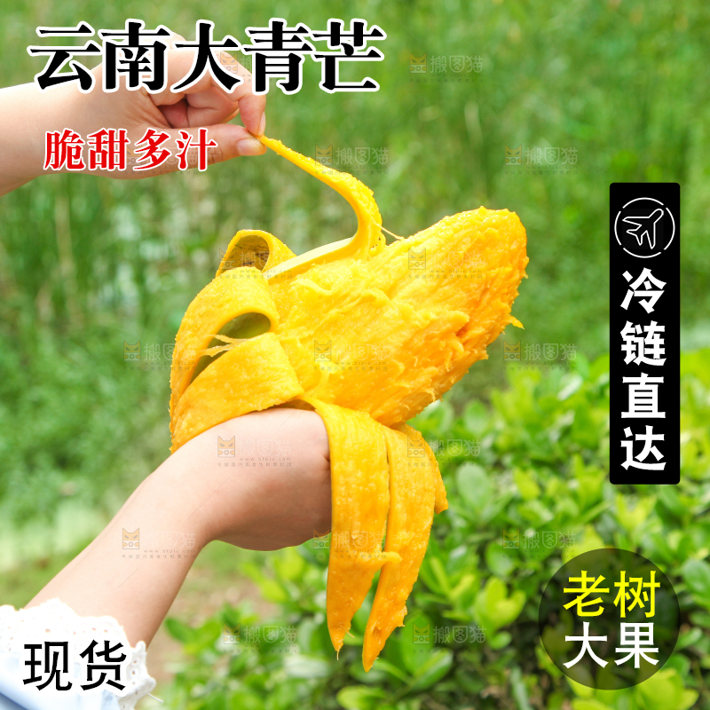 手里拿着正在剥皮的青芒
