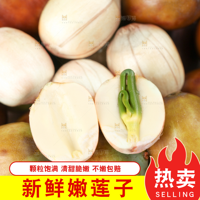 堆放着一堆的莲子