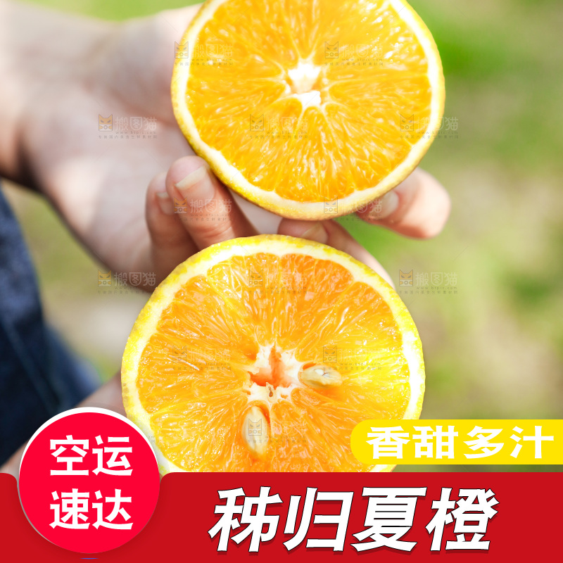 手里拿着新鲜夏橙