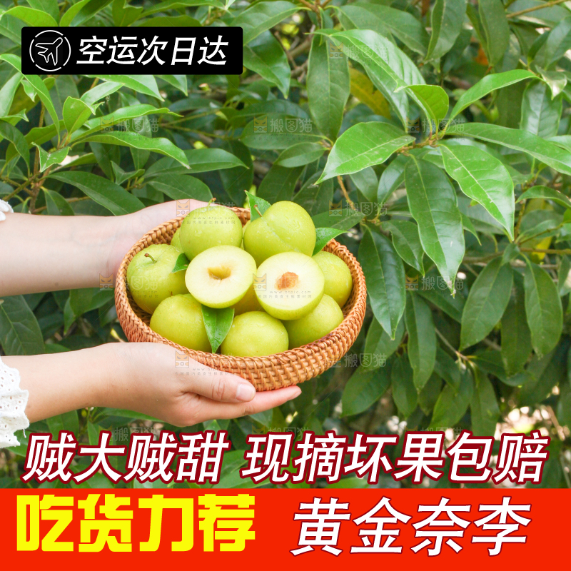 手里端着一篮黄金李