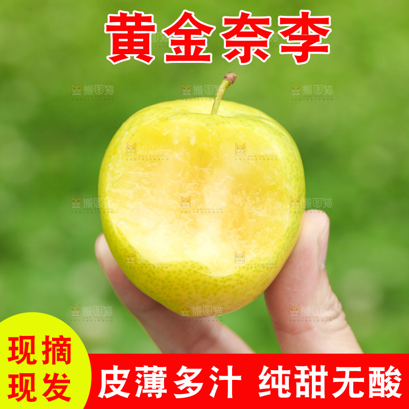 手里拿着黄金奈李
