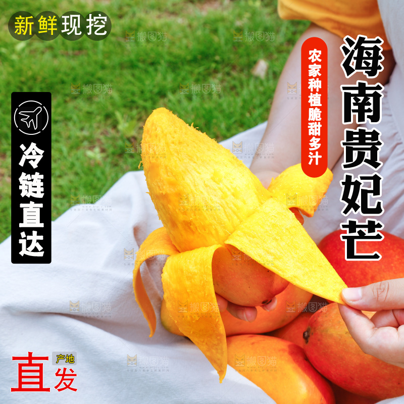手里拿着新鲜贵妃芒