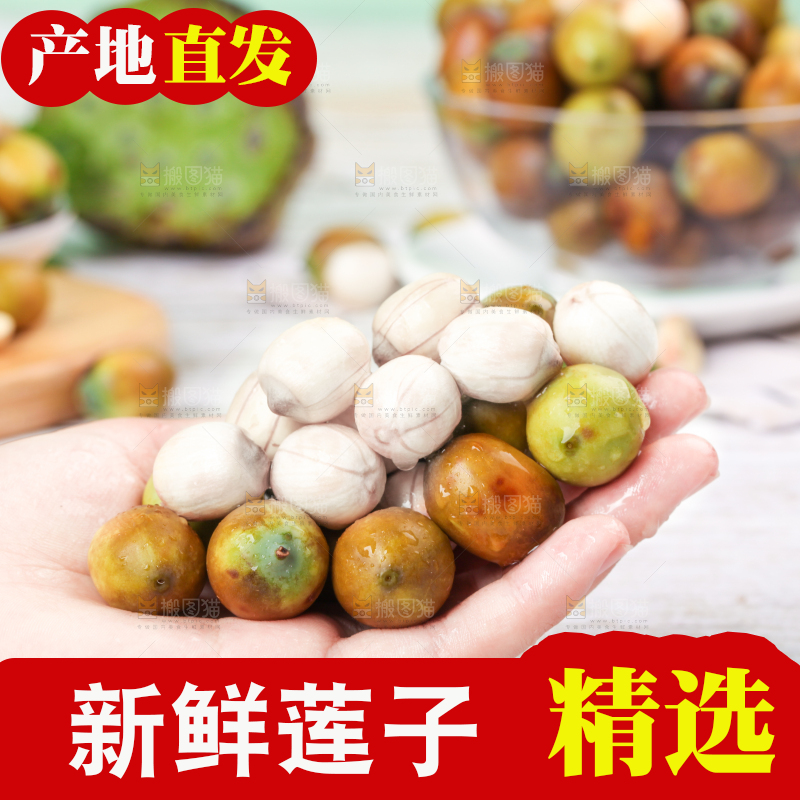 手里捧着洪湖莲蓬子