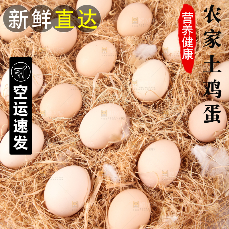 草堆上摆放着生鸡蛋