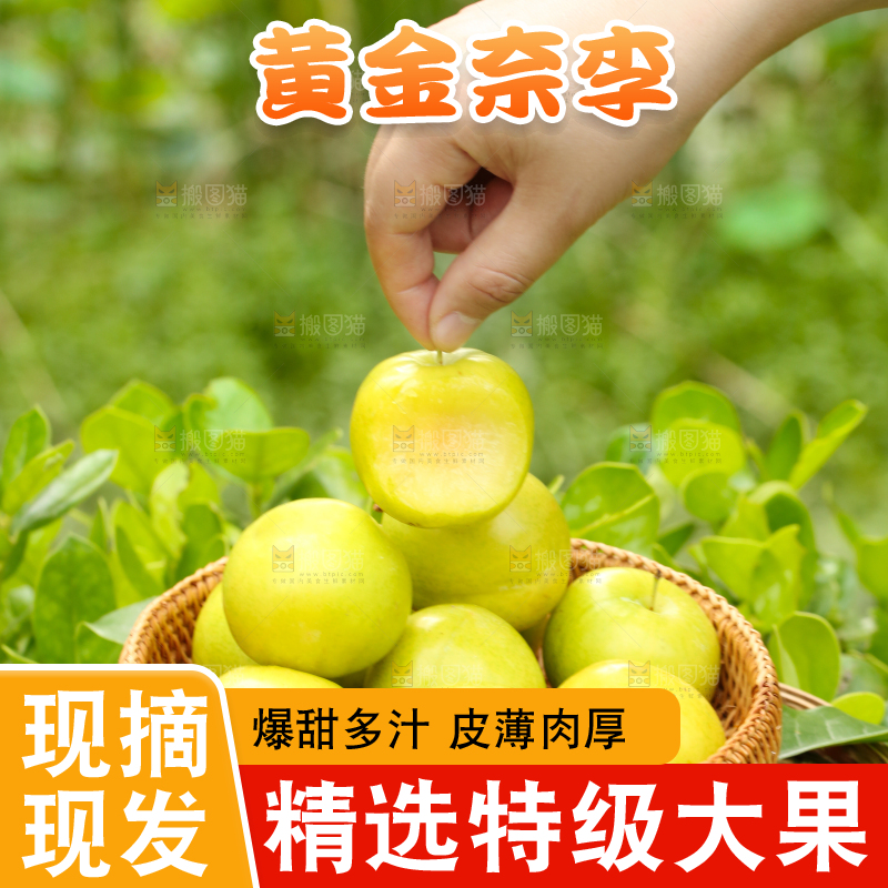篮子里装着黄金奈李