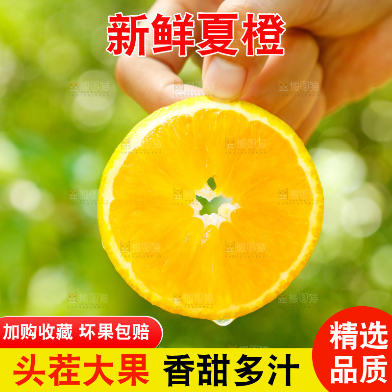 手里拿着新鲜夏橙