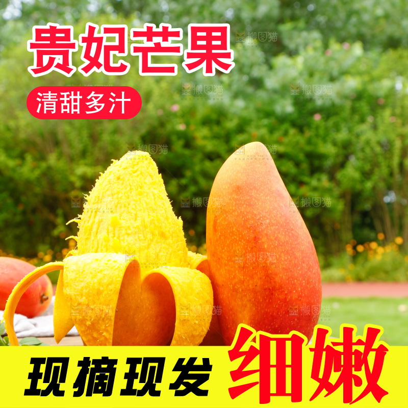 桌子摆放着贵妃芒