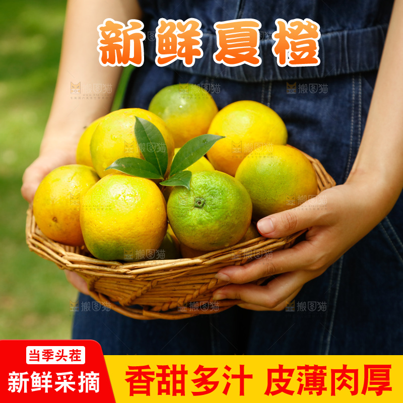 手里端着一篮秭归夏橙