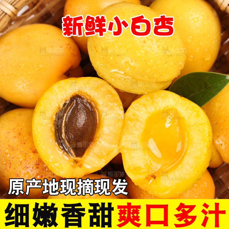 篮子里装着新鲜小白杏