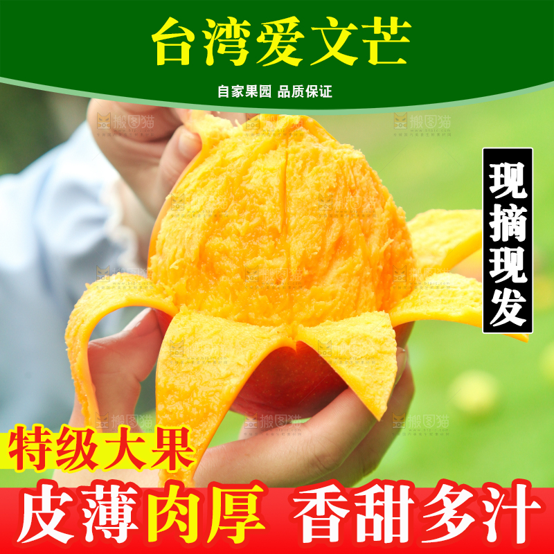 手里拿着苹果芒