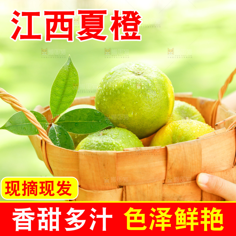 手里提着一篮新鲜夏橙