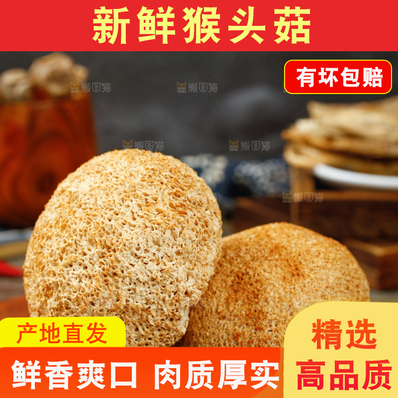 木板上摆放着猴头菇