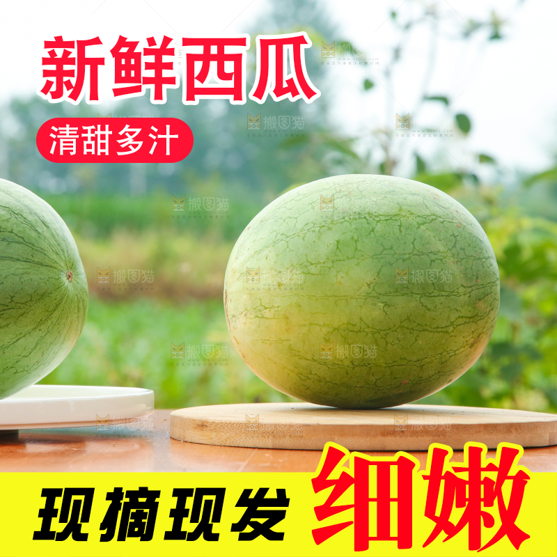 木底上摆放着西瓜