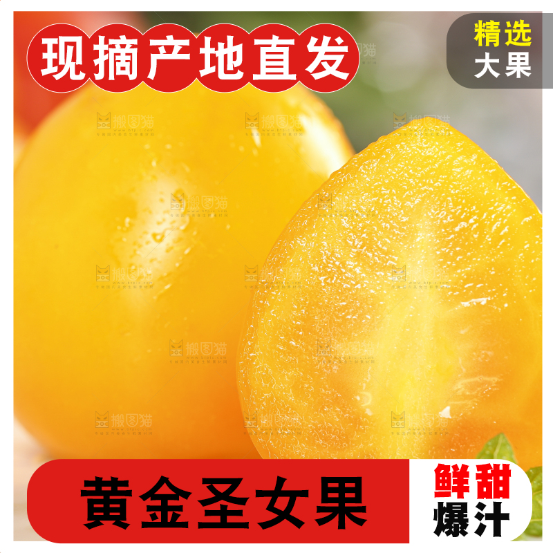 白底上摆放着山东黄金小番茄