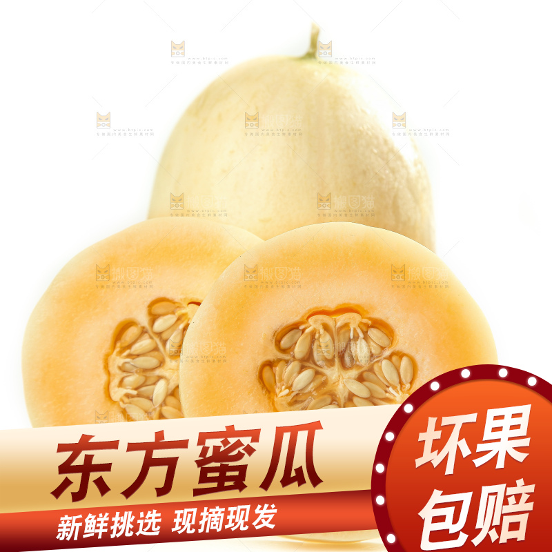 白底上摆放着台州东方蜜一号甜瓜