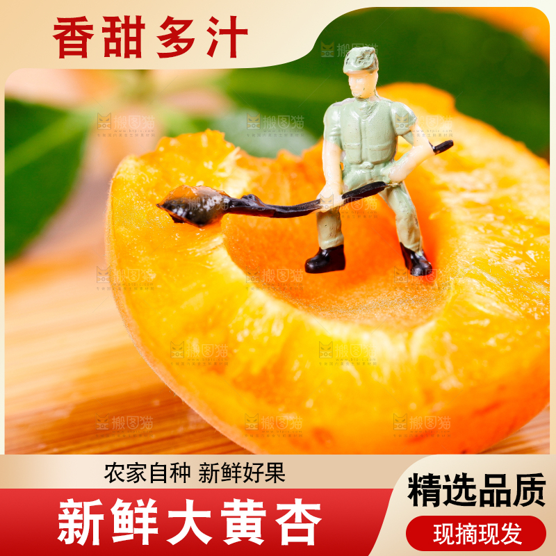 木底上放着新鲜大黄杏