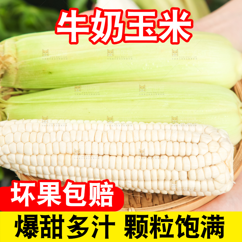 手里拿着白玉米