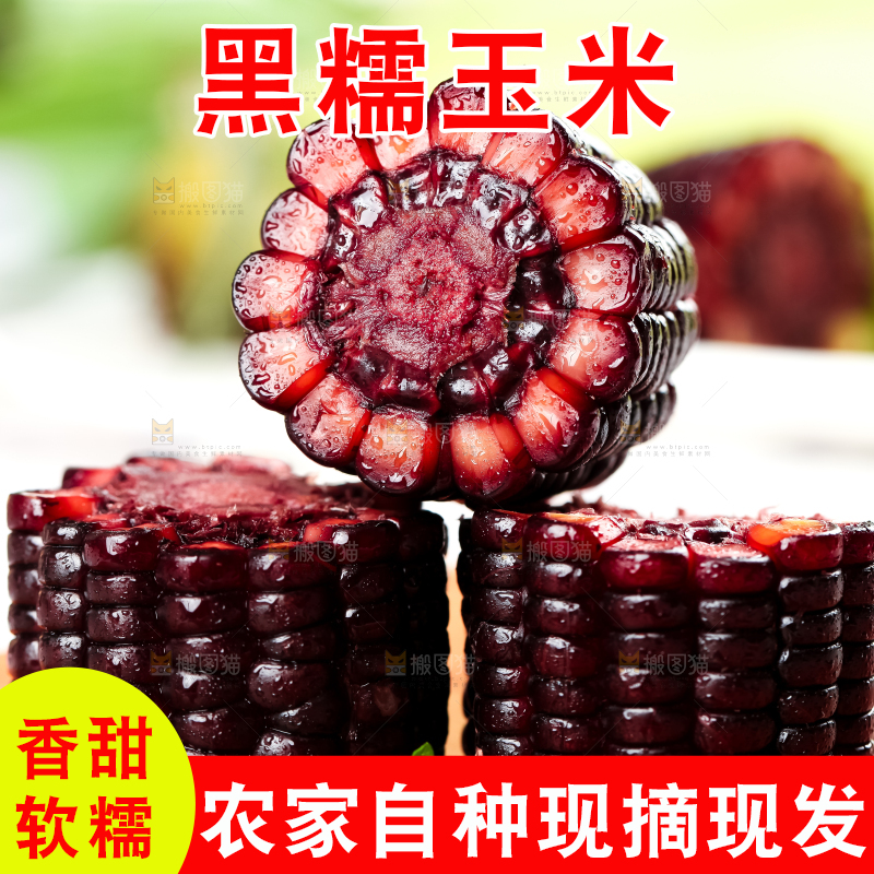 木底上放着紫玉米