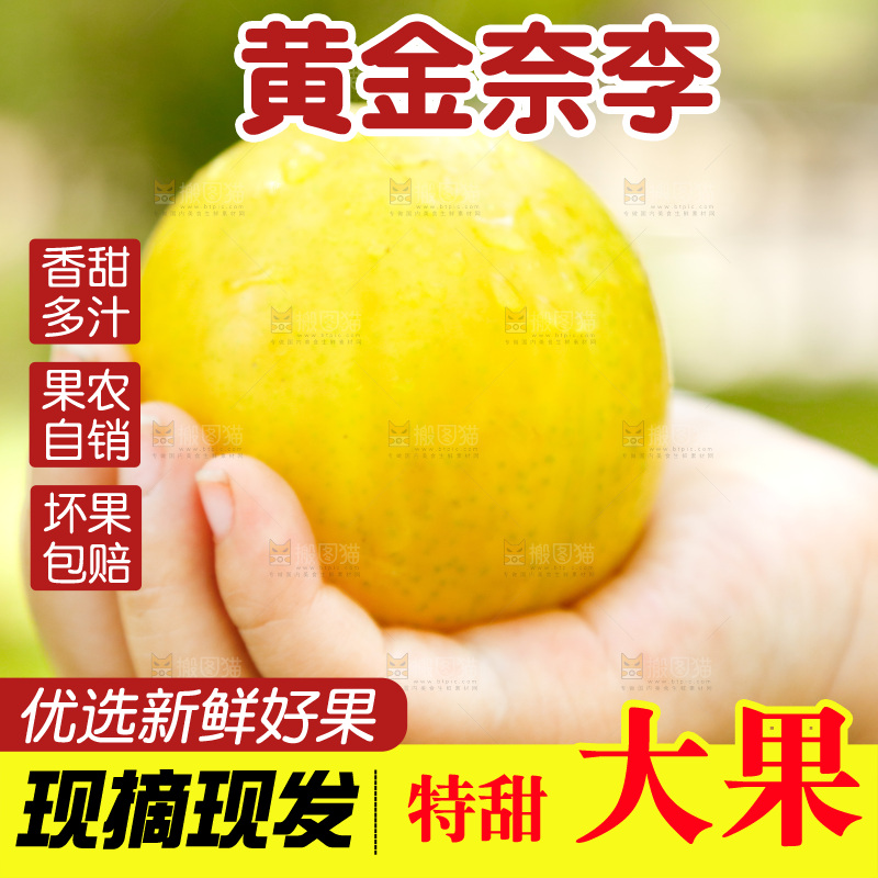 手里拿着黄金奈李