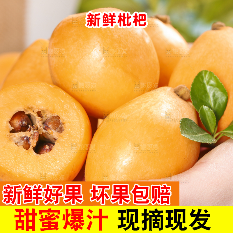 手里拿着枇杷果