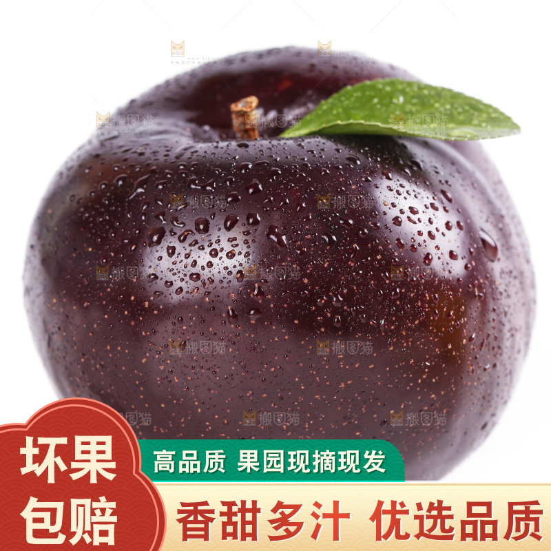 白底上放着黑布李