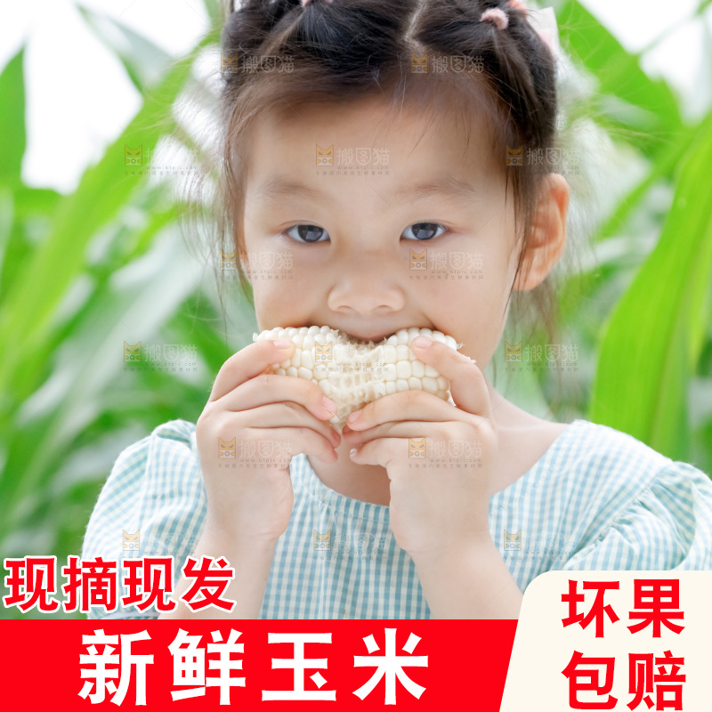 小女孩正在吃牛奶水果玉米