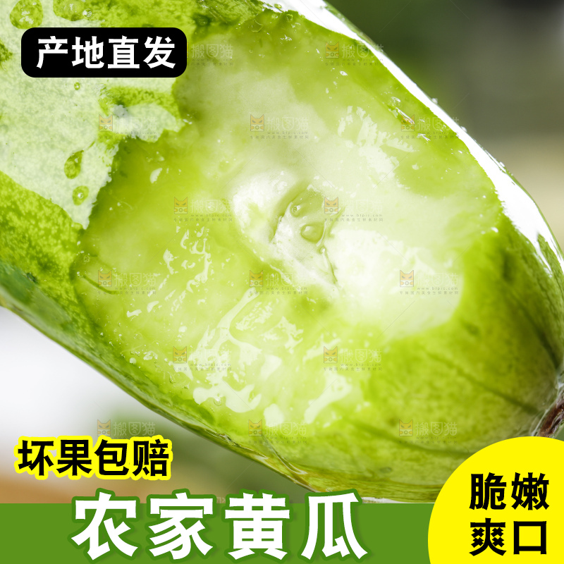 浅底上的黄瓜