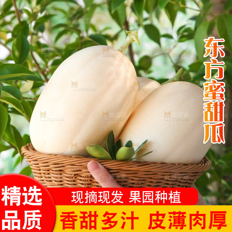 手里拿着一篮蜜瓜