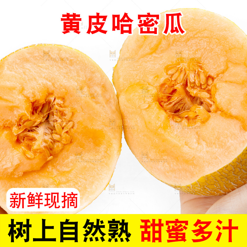 手里拿着新疆黄皮哈密瓜